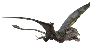 dimorphodon-info-graphic.png