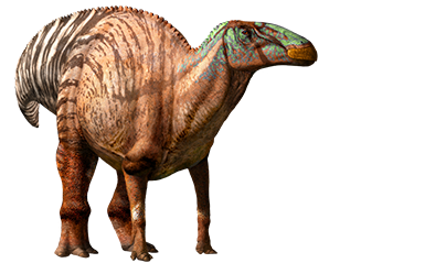 edmontosaurus-info-graphic.png