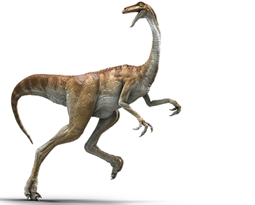 gallimimus-info-graphic.png