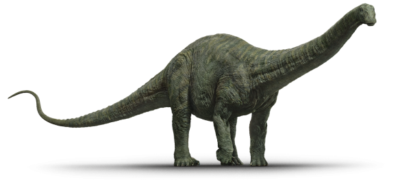 Apatosaurus1440x651_0014_.png