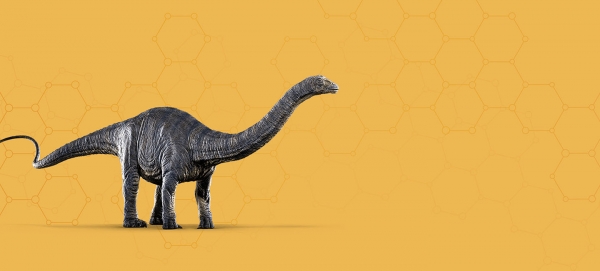 Apatosaurus_header.jpg