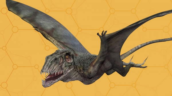 Dimorphodon.jpg