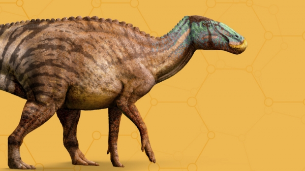 Edmontosaurus.jpg