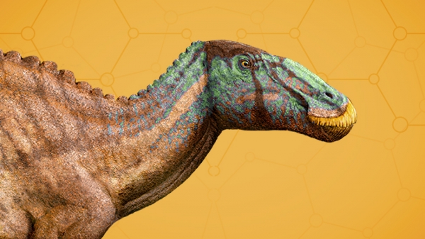 Edmontosaurus_960x540.jpg