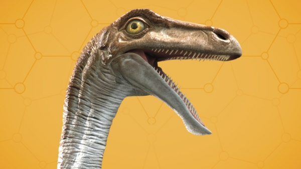 Gallimimus_960x540.jpg