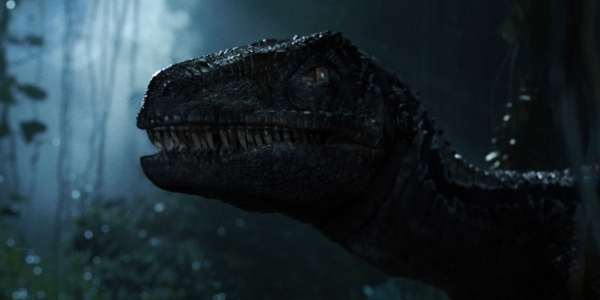 Jurassicvault_JW_4kHD_302.jpg