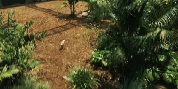 Jurassicvault_JW_4kHD_ADD_418.jpg