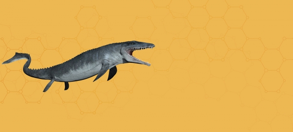 Mosasaurus.jpg