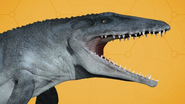 Mosasaurus_960x540.jpg