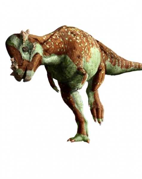 Pachycephalosaurus_4.jpg