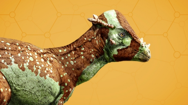 Pachycephalosaurus_960x540.jpg