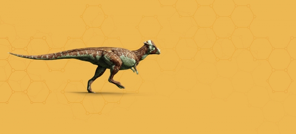 Pachycephalosaurus_header.jpg