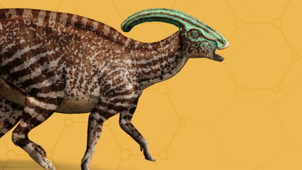 Parasaurolophus.jpg