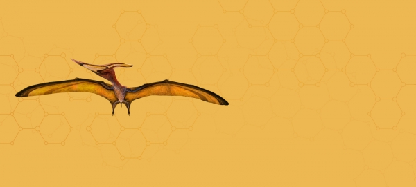 Pteranodon_header.jpg