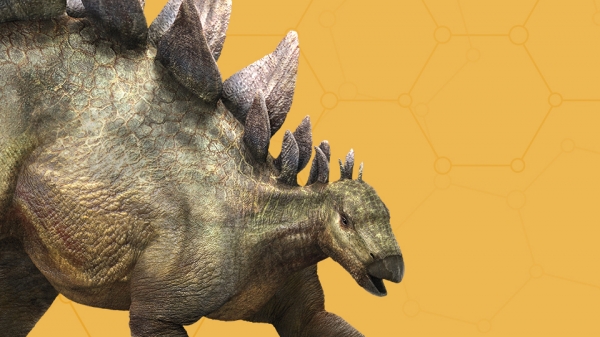 Stegosaurus.jpg