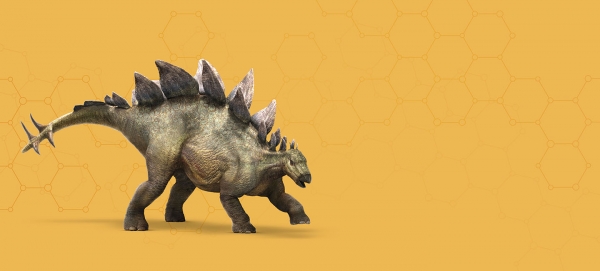 Stegosaurus_header.jpg