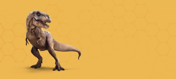 Trex_header.jpg