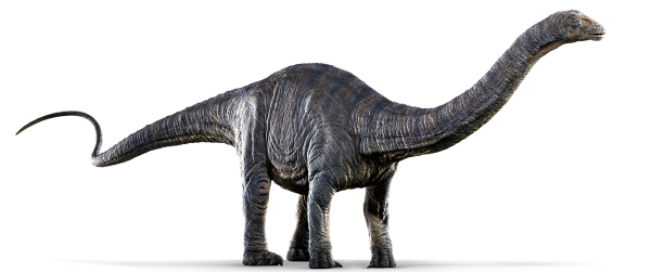 apatosaurus-detail-header.png