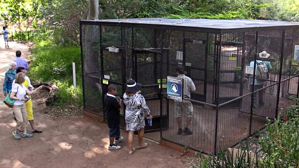 aviary-entrance.jpg