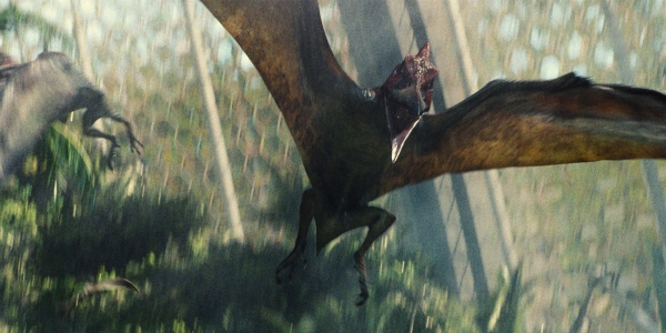 aviary-pteranodon.jpg