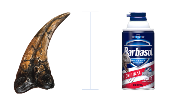 barbasol-size-comparison-new.png