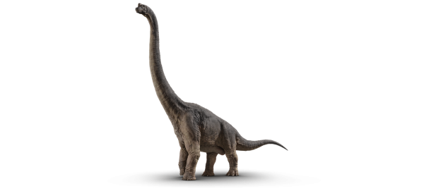 brachiosaurus1440x651_0010_.png