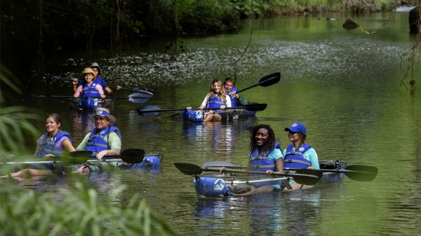 cruise-kayakers-large.jpg