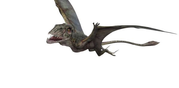 dimorphodon-detail-header.png