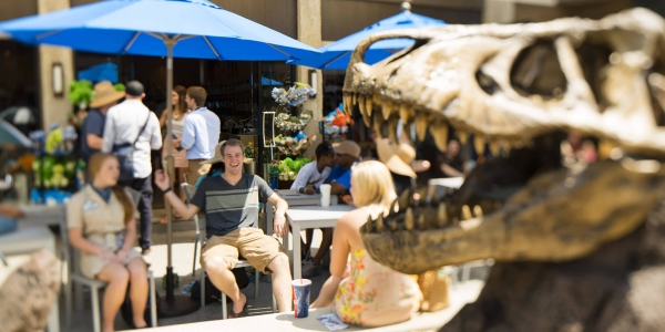 dinosaur-skull-main-street.jpg