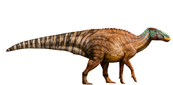 edmontosaurus-detail-header.png