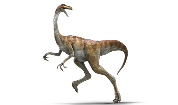 gallimimus-detail-header.png