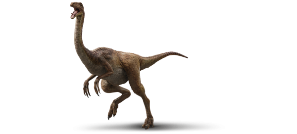 gallimimus_01440x651_0008_.png