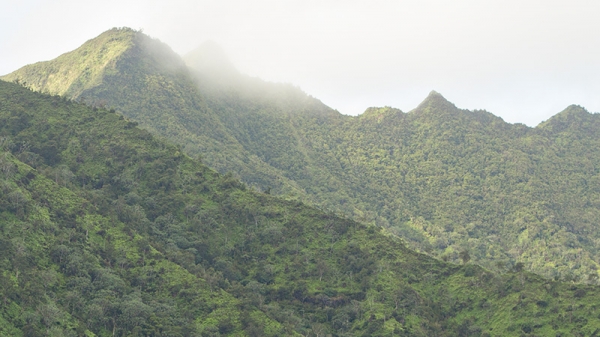 green-mountains-softly-blanketed-by-morning-fog.jpg