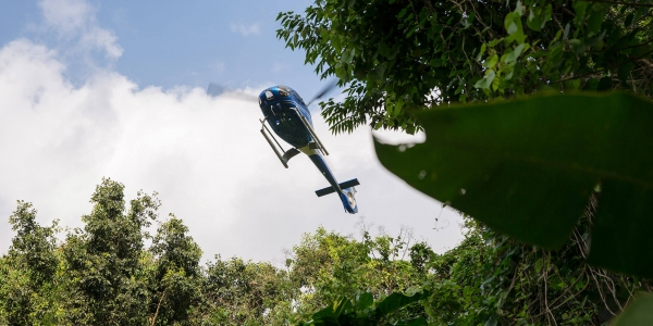 helicopter-jungle.jpg