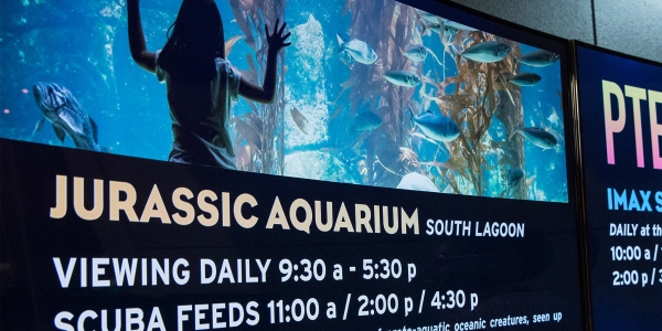 jurassic-aquarium-schedule.jpg