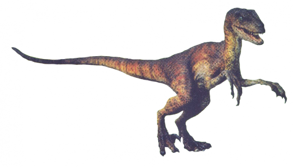 jurassicvault_TLW_models_538.png