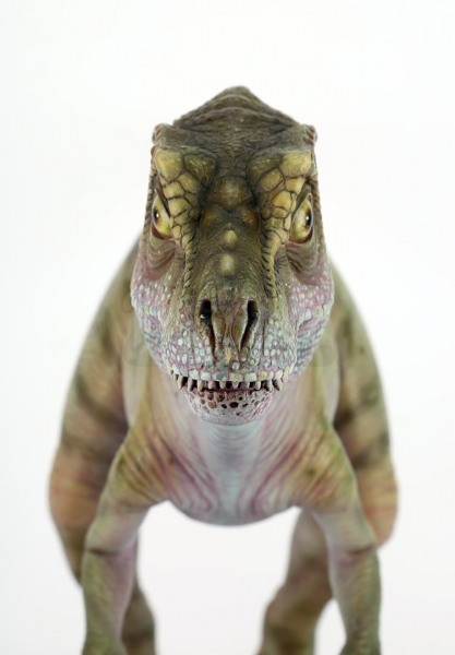 jurassicvault_TLW_models_570.jpg