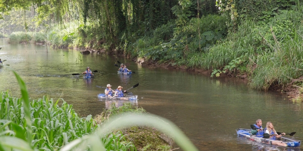 kayaking-cretaceous-cruise.jpg