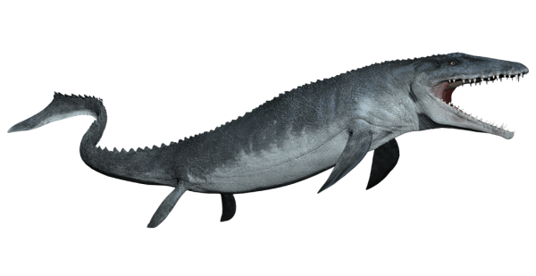 mosasaurus-detail-header.png