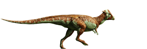 pachycephalosaurus-detail-header.png