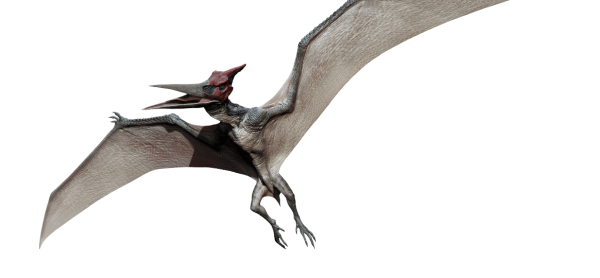 pteranodon-detail-header.png