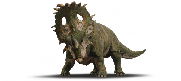 sinoceratops_01440x651_0005_.png