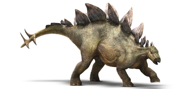 stegosaurus-detail-header.png