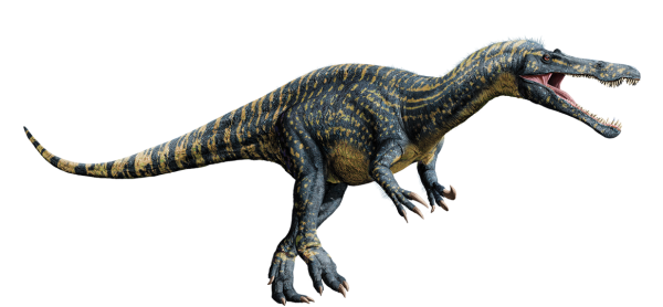 suchomimus-detail-header.png