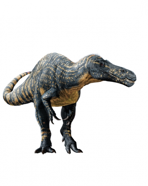 tallSuchomimus_Csotonyi_03_201501.jpg