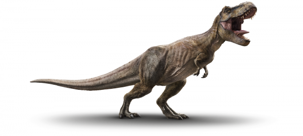 trex1440x651_0001.png