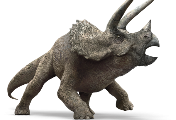 triceratops-detail-header.png