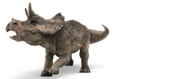 triceratops-info-graphic.png