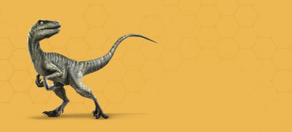 velociraptor_header.jpg