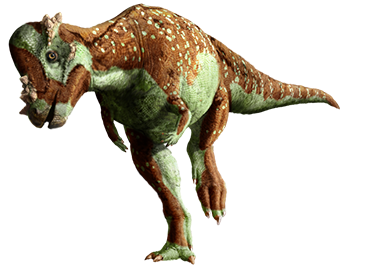 pachycephalosaurus-info-graphic.png